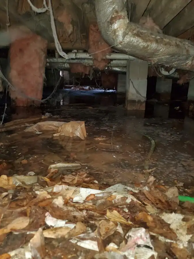 Crawl space flood assessment for Leak Detection & Repair in Eagle Mountain